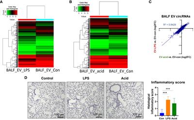 Altered circular RNA expressions in extracellular vesicles from bronchoalveolar lavage fluids in mice after bacterial infections